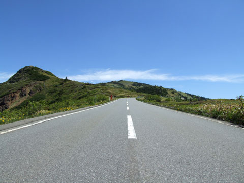 R292�R�c���t��