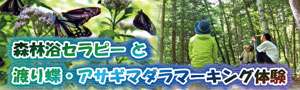 森林浴セラピーと渡り蝶・アサギマダラマーキング体験