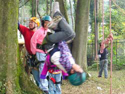 木登り体験素材4