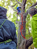 木登り体験素材2