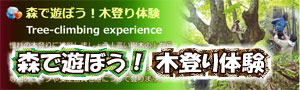 木登り体験サポート