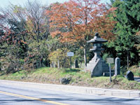 分去れ