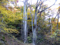 常布の滝