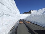 志賀草津高原ルート　雪の回廊