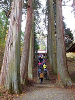 三島神社杉並木