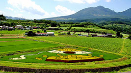 高山村