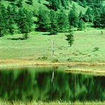 池の平湿原