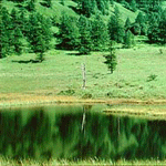 池の平湿原 池の平湿原