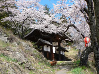 信綱寺黒門
