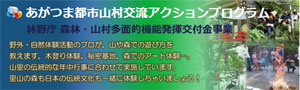 過疎地域等自立活性化推進交付金