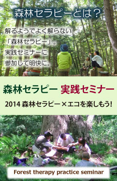 森林セラピー実践セミナー