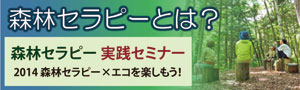 森林セラピー実践セミナー