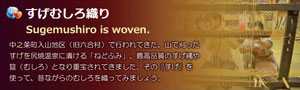 すげむしろ織り学習会