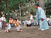 だんご相撲