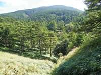 黒斑山とトーミ断層