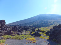 月面のような風景