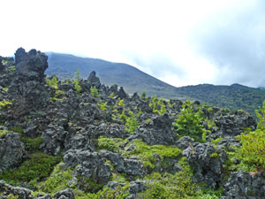 浅間山北麓から天狗温泉に抜ける縦走コース