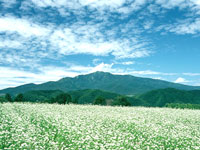 四阿山山容