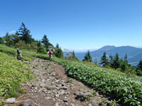 四阿山登山道