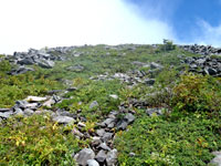 四阿山登山道