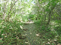 四誤登山道