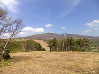 菅平牧場