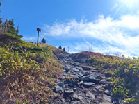 根子岳登山道
