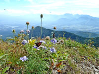四阿山登山道
