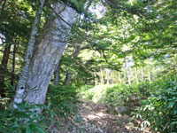 浦倉山登山道