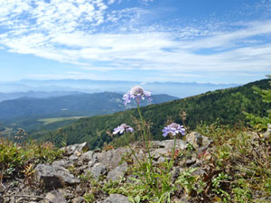 鳥居峠 ～ 四阿山 ～ 根子岳 ～ 菅平牧場 縦走コース