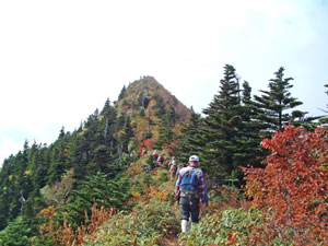 パルコール嬬恋 ～ 野地平 ～ 浦倉山 ～ 四阿山 ～ 鬼岩 ～ 茨木山 ～ バラギ高原 縦走コース