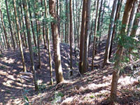 城の堀