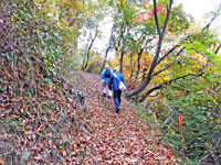真田道、出浦対馬守の屋敷跡