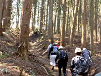 岩櫃城散策路