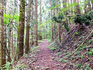 岩櫃城址　南側遺構と番匠坂 探索コース