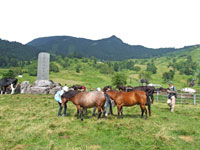 山田牧場