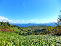 芳ヶ平より草津へ