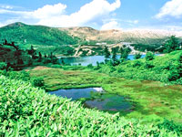 弓池と白根山
