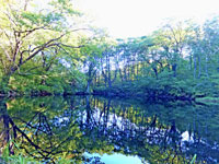 水池