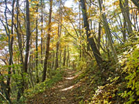 嫗仙の滝登山道