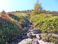 湯ノ丸山登山道
