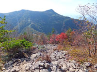 烏帽子山に向かて下りる