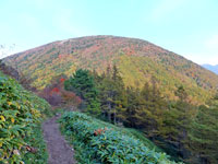 湯ノ丸山に向かって