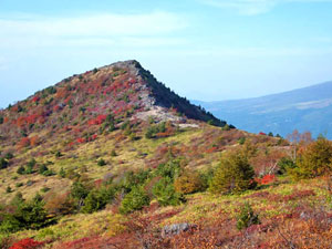 湯の丸山　地蔵峠 ～ 烏帽子岳 ～ 湯の丸山 ～ コンコン平 ～ 旧鹿沢温泉コース
