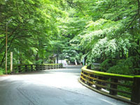 二手橋