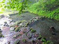 碓氷川水源