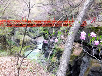鹿飛橋