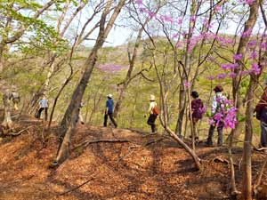 吾妻渓谷がっちりハイキング （＋道陸神峠越えむかし道）
