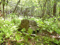 小浅間山山頂から崩れてきた岩