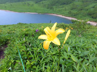 万座温泉